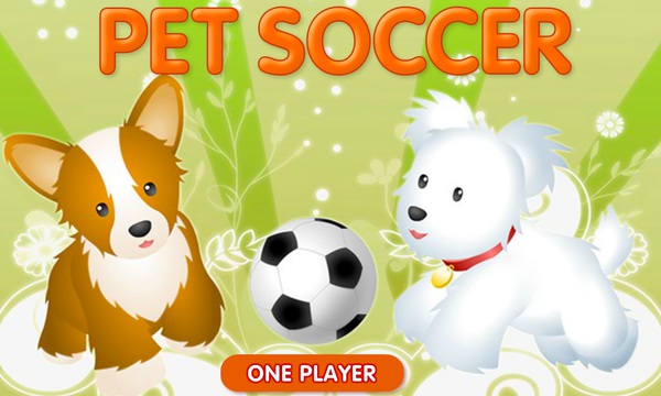 dog soccer